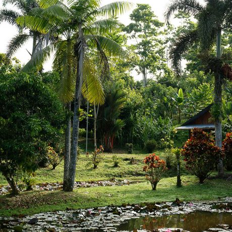 Finca Sura Garten Blick in einen Garten