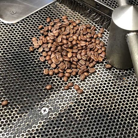 Besichtigen Sie die biologische Finca Cristina und tauchen Sie ein in die Welt des qualitativ hochwertigen Arabica-Kaffees