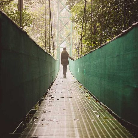 Blick auf eine Hängebrücke bei der Wanderung über Hängebrücken im Nationalpark Monteverde