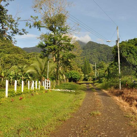 Costa Rica Landleben Wiesen und Weiden