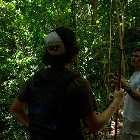 Erleben Sie den tropischen Regenwald hautnah mit einem erfahrenen, einheimischen Naturführer