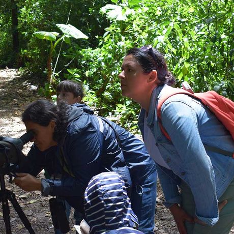 Blick auf eine Ausflugsgruppe bei der Wanderung im Nebelwald des Santa Elena Reservats