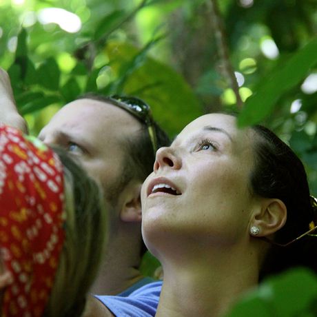 Erleben Sie den tropischen Regenwald hautnah mit einem erfahrenen, einheimischen Naturführer