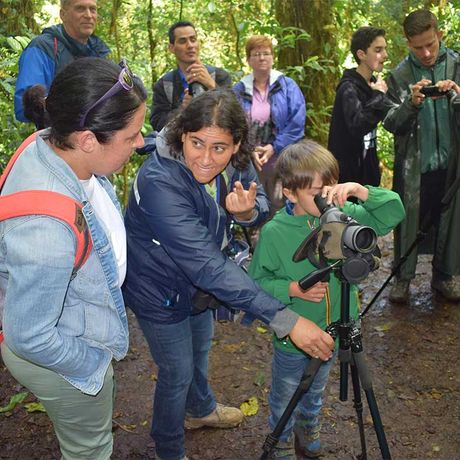 Blick auf eine Ausflugsgruppe bei der Wanderung im Nebelwald des Santa Elena Reservats