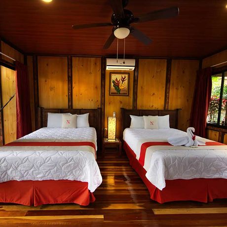 Blick auf die Betteb des Deluxebungalows der Heliconias Nature Lodge