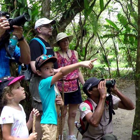 Blick auf eine Ausflugsgruppe bei der Wanderung im Nationalpark Arenal