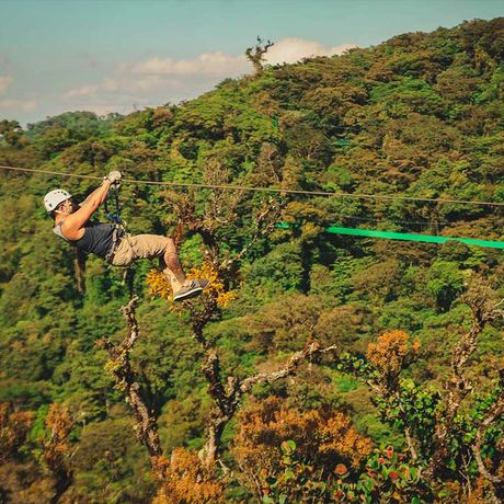 Ziplining beim Canopy und Zipline im Nebelwald von Monteverde