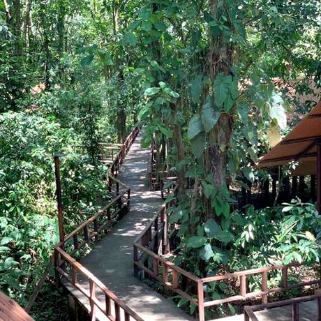 Aussenansicht der Dschungel-Lodge Rana Ronja