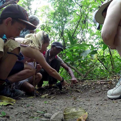 Blick auf eine Ausflugsgruppe bei der Wanderung im Nationalpark Arenal