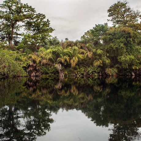 Blick auf das ruhige Gewässer der Lagunenlandschaft Gandocas, umsäumt von grünen Pflanzen