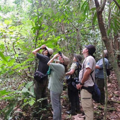 Blick auf eine Ausflugsgruppe in der Dschungel-Lodge Yatama Ecolodge
