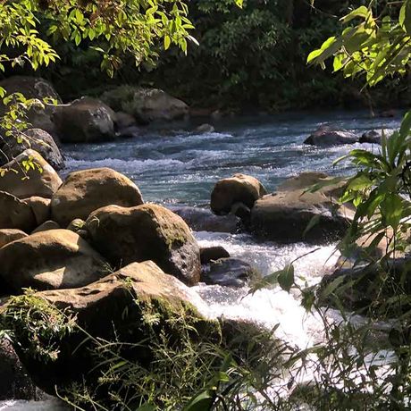 Im Nationalpark Río Celeste gibt es Flussläufe mit erfrischendem Wasser
