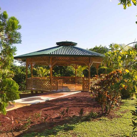 Blick auf das Yogapavillon der Heliconias Nature Lodge