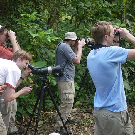 Blick auf vier Auflugsteilnehmer bei der Vogelbeobachtung im Tiefland der Hacienda Barú
