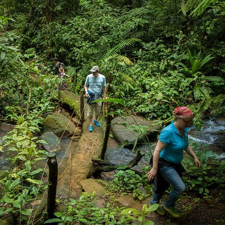 Wandergruppe Wald Costa Rica Blick auf eine Wandergruppe im Wald Costa Ricas