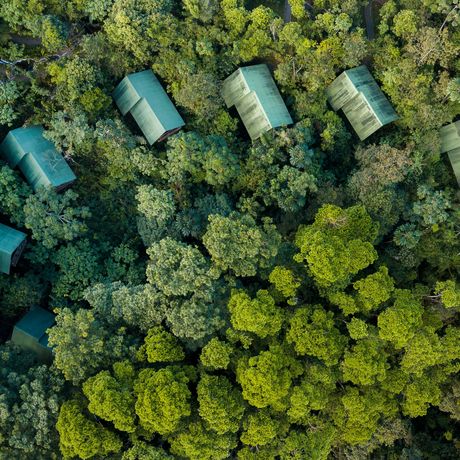 La Tigra Rainforest Lodge Galerie Vogelperspektive auf Hütten