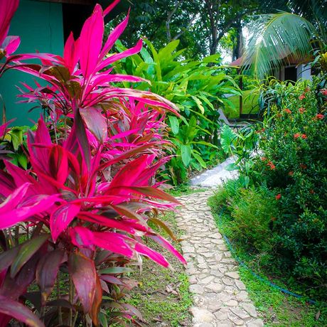 Blumen im Garten des Ferienhauses „Casa Colores“