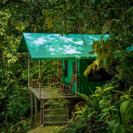 Blick auf ein Zelt der Dschungel-Lodge Luna Lodge 