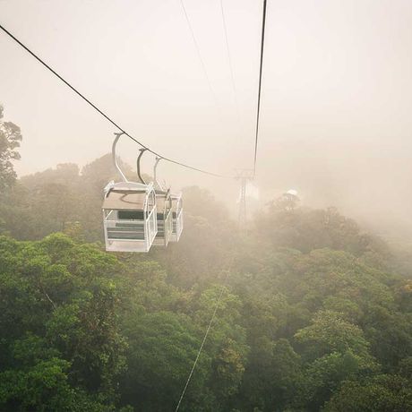 Blick auf eine Seilbahn bei der Seilbahnfahrt über dem Blätterdach des Nebelwaldes von Monteverde