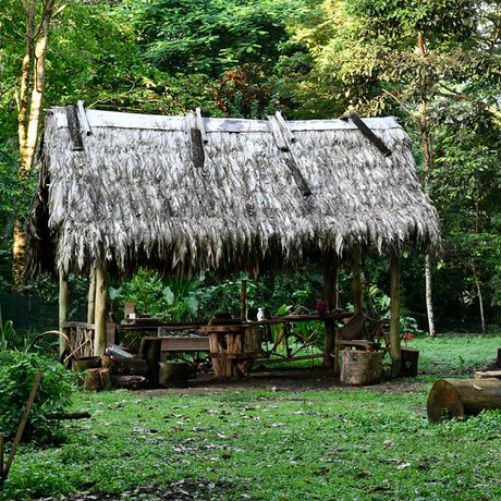 Blick auf eine Holzhuette im Dschungel Costa Ricas