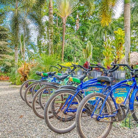 Blick auf blaue Fahrraeder vor der Strandunterkunft Banana Azul