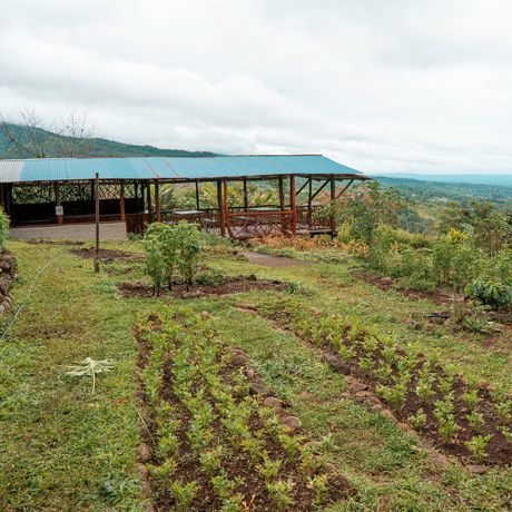 La Tigra Rainforest Lodge Galerie Panorama auf Anwesen