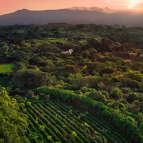 Finca Rosa Blanca Sonnenaufgang Blick auf einen Sonnenaufgang