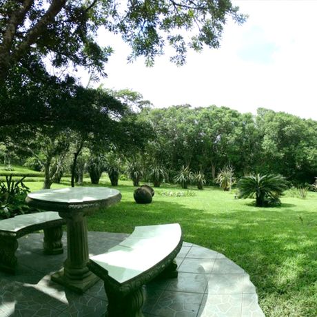 Blick in den Garten der Bungalow + Cabinas Valle Campanas