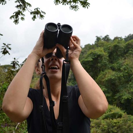 Blick auf eine Frau beim Beobachten der Vögel beim Tagesausflug Vogelbeobachtung im CATIE-Institut für Beginner