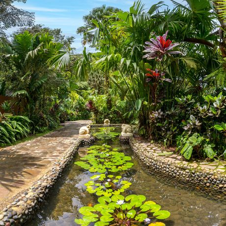 Hotel Rio Celeste Hideaway Galerie Bachlauf im Garten der Unterkunft