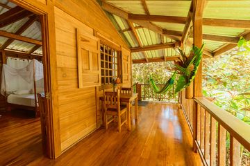 Casa Viva Lodge Standardstudio Hängematte grün