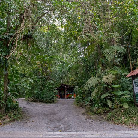 Ökolodge Arenal Oasis Galerie Sicht auf Eingangsbereich