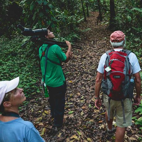 Blick auf drei Ausflugsteilnehmer bei der Vogelbeobachtung Hacienda Barú