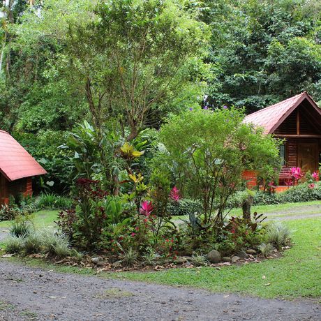 Ökolodge Arenal Oasis Galerie Perspektive auf Hütten im Garten