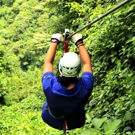 Gleiten Sie durch den dichten Urwald Costa Ricas dank Ziplining