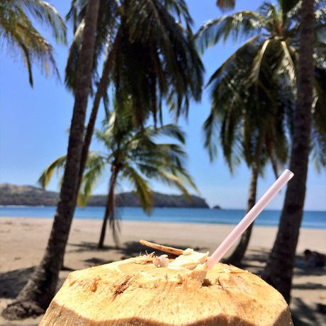 Die frischen Kokosnüssem, die Sie an der Straße erwerben können, enthalten pures Kokoswasser - eine wahrlich willkommene Abkühlung