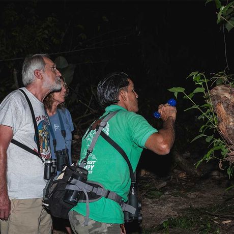 Blick auf zwei Auflugsteilnehmer und einen Guide bei der Nachtwanderung im Dschungel