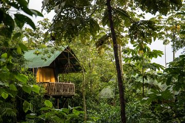 La Tigra Rainforest Lodge Standardzelt