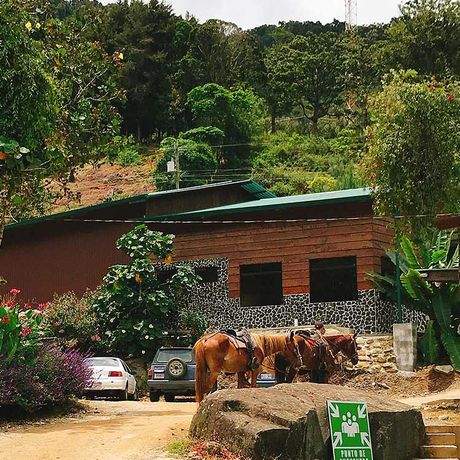 Das facettenreiche Landleben bietet Ihnen Einblicke in die costa-ricanische Kultur. 