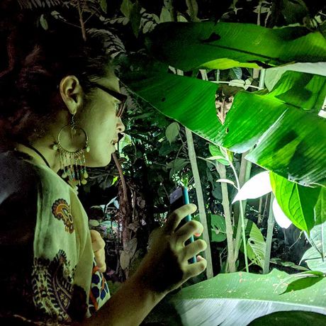 Entdecken sie das nächtliche Leben des costa-ricanischen Regenwaldes im Privatreservat bei La Fortuna