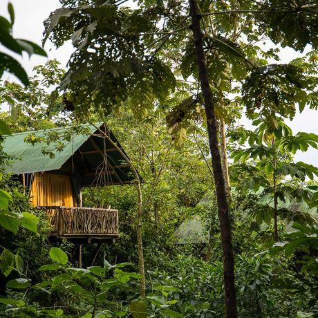 La Tigra Rainforest Lodge Galerie Seitenansicht Zelt im Dschungel