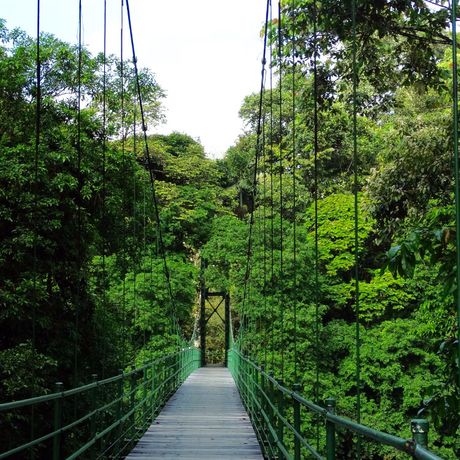 Blick auf den Weg über eine Hängebrücke bei La Selva