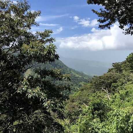 Naturkundliche Exkursion Nationalpark Los Quetzales