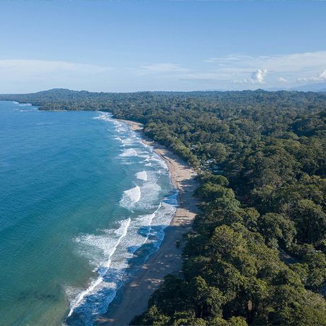 Küste Strand Wald Costa Rica Blick auf einen Strand am Rande des Waldes in Costa Rica
