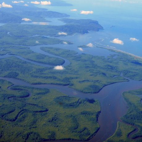Costa Rica Inlandsflüge AÜberflug der Mangroven von Sierpe