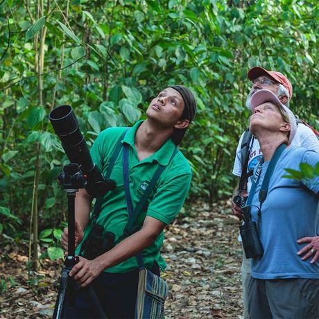 Blick auf zwei Auflugsteilnehmer und einen Guide bei der Vogelbeobachtung im Tiefland der Hacienda Barú