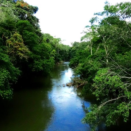 Durch die immergrüne Landschaft Sarapiquís rauschen pittoreske Flüssse die Ausgangspunkte für Outdoor-Erlebnisse  sind.