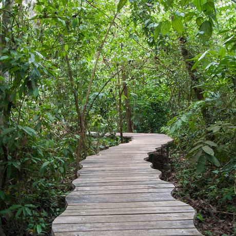 Weg zum Public Deck der Duschungel-Lodge Danta Corcovado