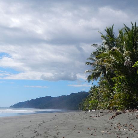 Costa Rica Pazifikküste Osa