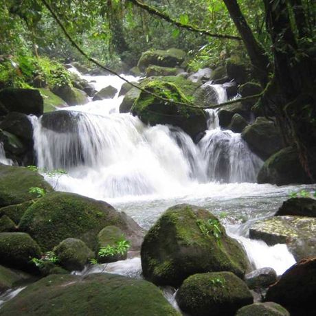 Blick auf einen Wasserfall in der Dschungel-Lodge Yatama Ecolodge